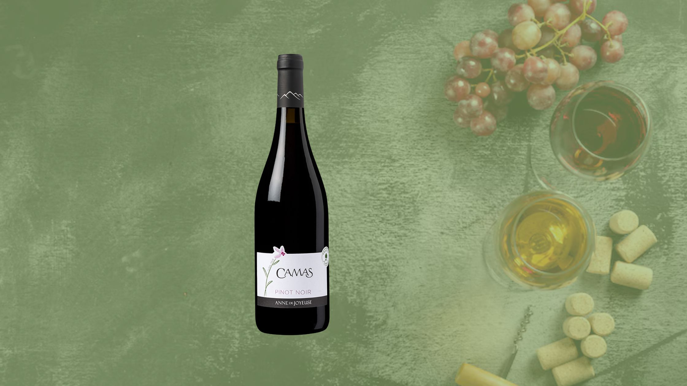 Pinot Noir – Delicate, Aromatic & Elegantly Complex